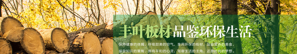 豐業板材